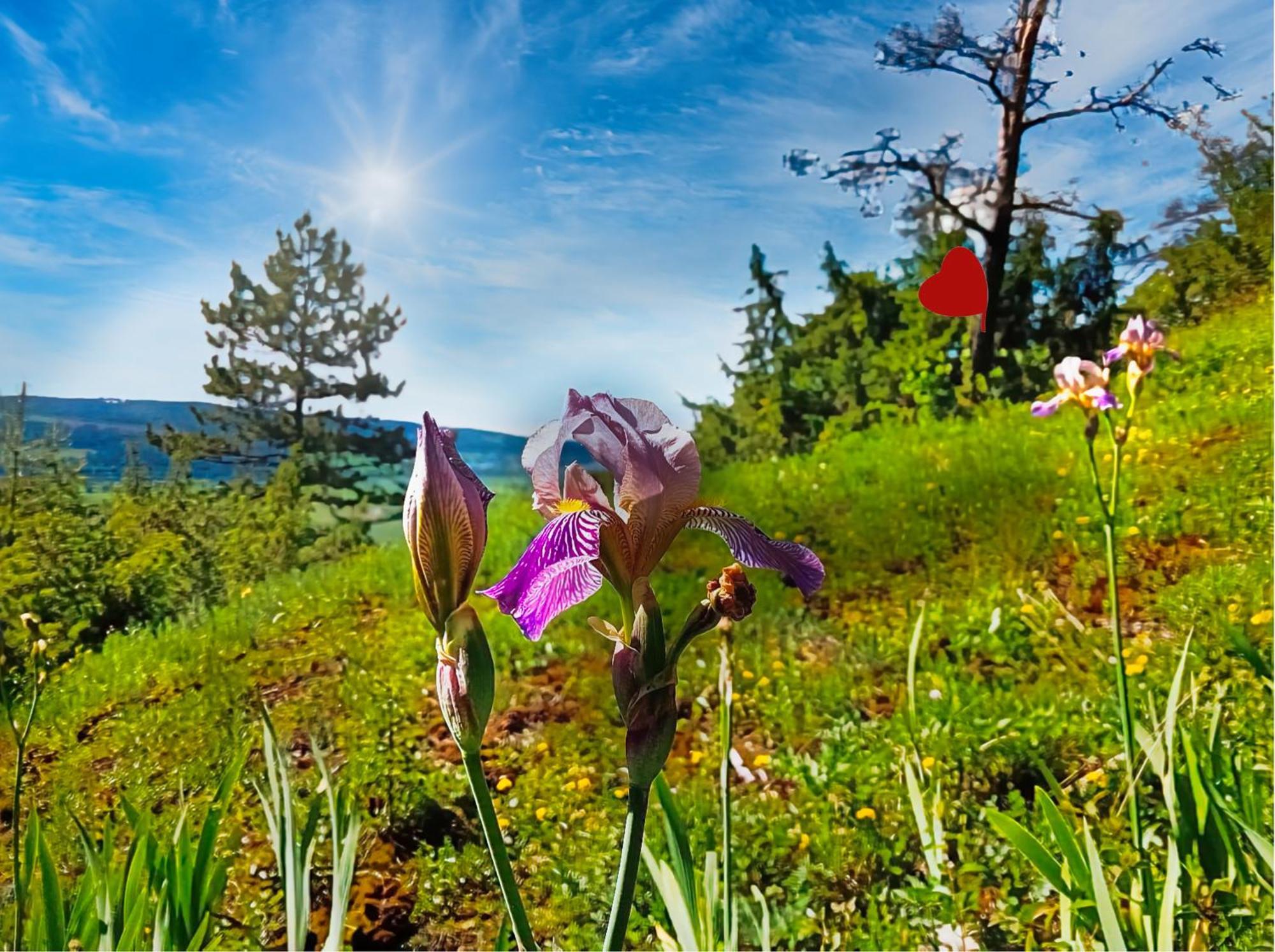 Gasthaus & Hotel Drei Lilien Werbach Екстер'єр фото